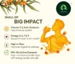 Sea Buckthorn Juice Pulp Concentrate 300ml | Cold-Pressed | Makes 50 Glasses | Immunity & Gut Health Support |Seabuckthorn Herbal Supplement Drink for Men & Women (Pack of 1) - Image 6