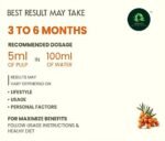 Sea Buckthorn Juice Pulp Concentrate 300ml | Cold-Pressed | Makes 50 Glasses | Immunity & Gut Health Support |Seabuckthorn Herbal Supplement Drink for Men & Women (Pack of 1) - Image 7