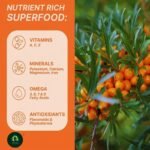 Sea Buckthorn Juice 500ml| Natural Herbal Multi-Supplement Drink| Daily Wellness Juice for Immunity, Digestion& Skin Glow | Healthy Herbal Beverage for Men & Women | Pack of 1 - Image 4