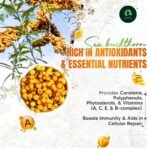Sea Buckthorn Juice 500ml| Natural Herbal Multi-Supplement Drink| Daily Wellness Juice for Immunity, Digestion& Skin Glow | Healthy Herbal Beverage for Men & Women | Pack of 1 - Image 11